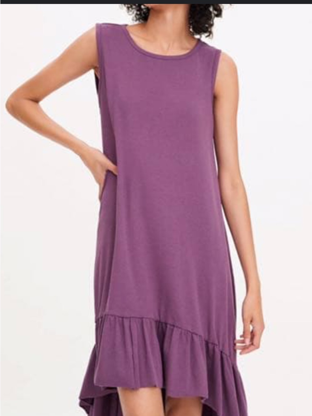 Zara Purple Sleeveless High-Low Ruffle Hem Dress